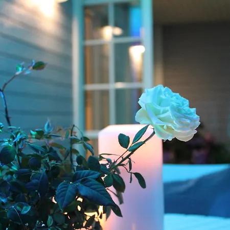 לינה וארוחת בוקר Rosenhill