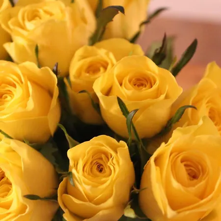 Rosenhill לינה וארוחת בוקר תאלפאנג