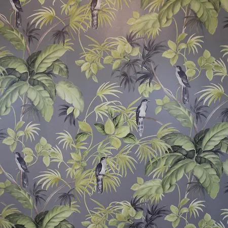 Rosenhill Bed & Breakfast