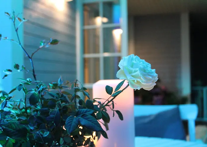 Bed & Breakfast Rosenhill