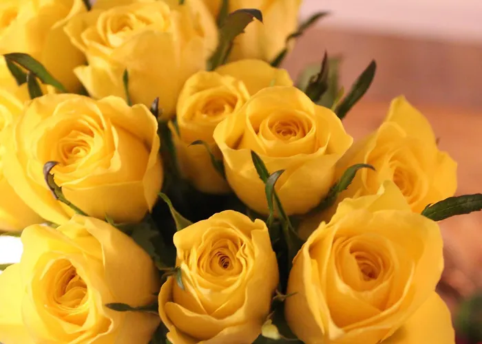 Rosenhill Bed & Breakfast Thalfang